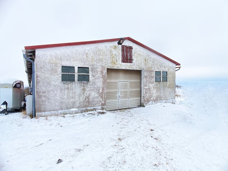 Traumhafte Reitanlage mit Reiterstube – Alleinlage inmitten Südthüringer Natur + perfekte Anbindung