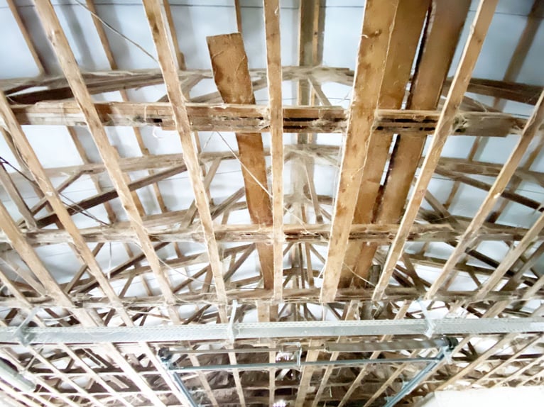 Traumhafte Reitanlage mit Reiterstube – Alleinlage inmitten Südthüringer Natur + perfekte Anbindung