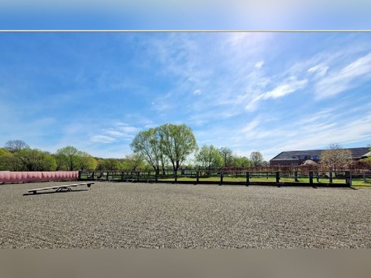 Traumhafter Vierkanthof mit ca. 4,2 ha Nähe Düsseldorf