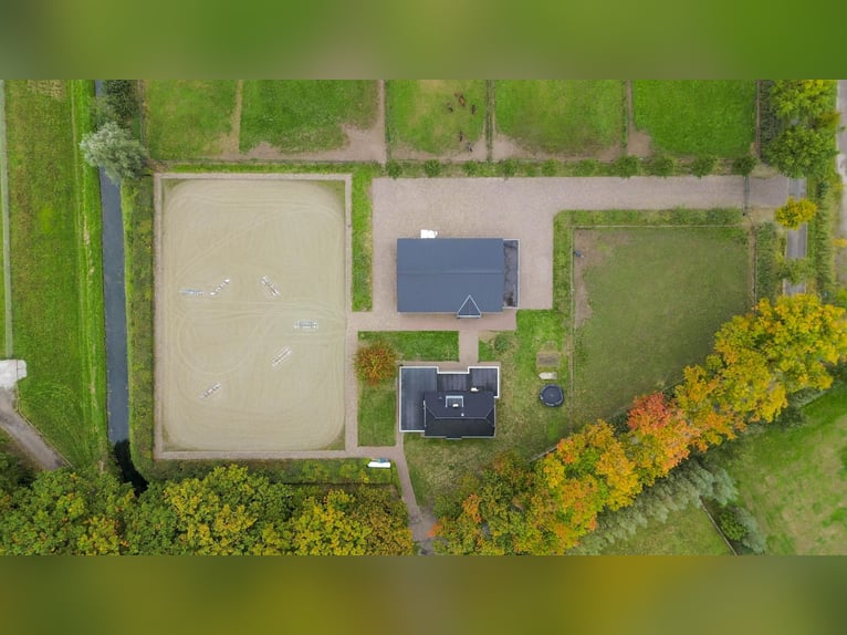 Un endroit magnifique pour le bonheur des chevaux !