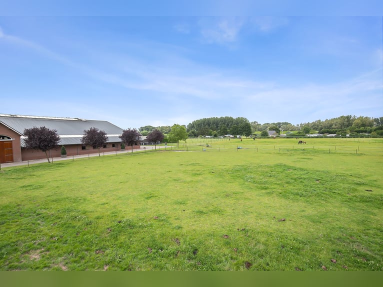 Un magnifique hébergement équestre offrant de nombreuses possibilités pour le passionné de chevaux p