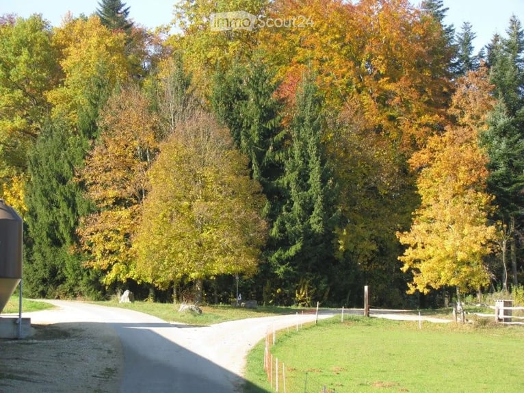 Un ranch équestre unique offrant un potentiel d'utilisation polyvalent