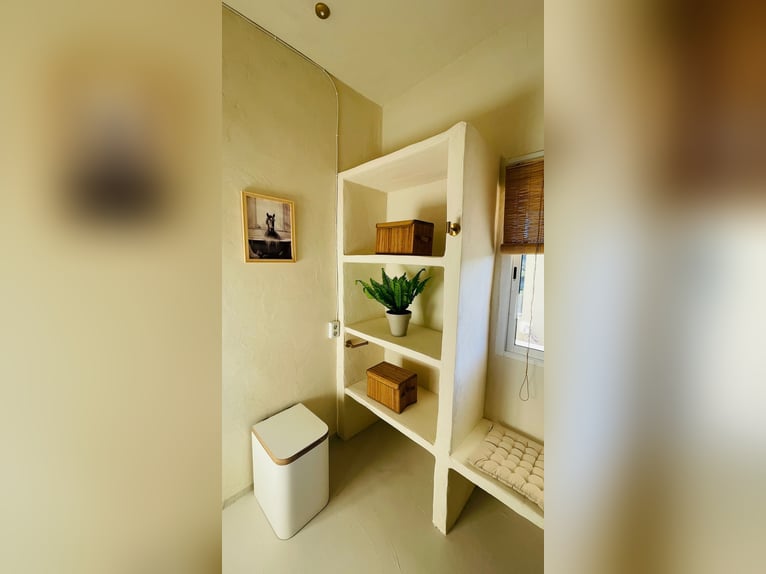 Unique Off-Grid Mountain Home With 360° Panoramic Views and Full Equestrian Facilities 