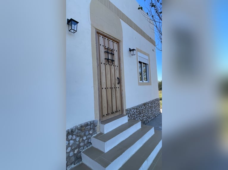 Unique Off-Grid Mountain Home With 360° Panoramic Views and Full Equestrian Facilities 