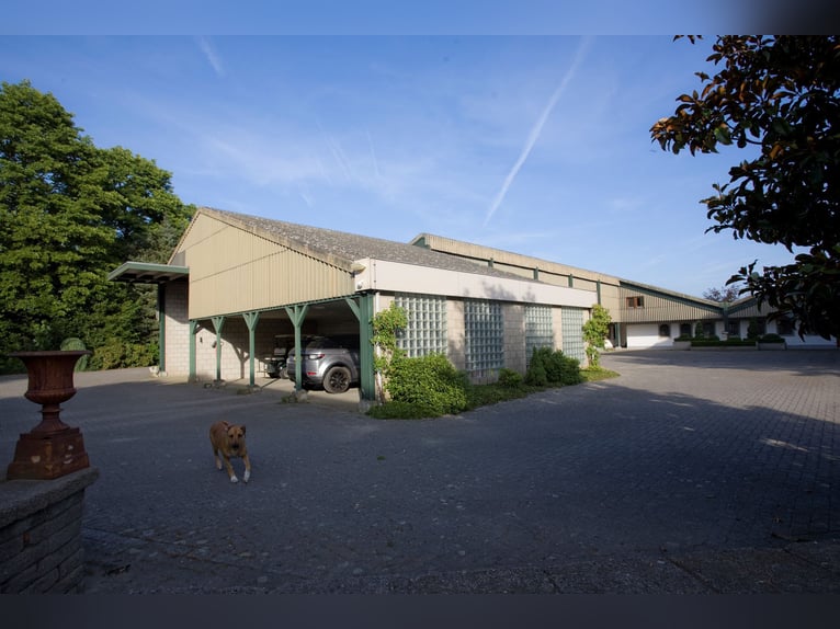 VENDU : Écurie complète avec maison de campagne près de la frontière allemande aux Pays-Bas.