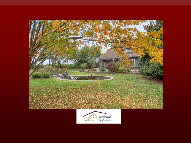 VENDU : Écurie complète avec maison de campagne près de la frontière allemande aux Pays-Bas.