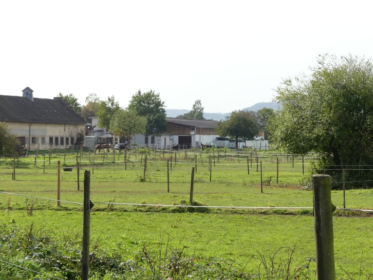 Vergabe der Reitsportanlage Monaise im Erbbaurecht