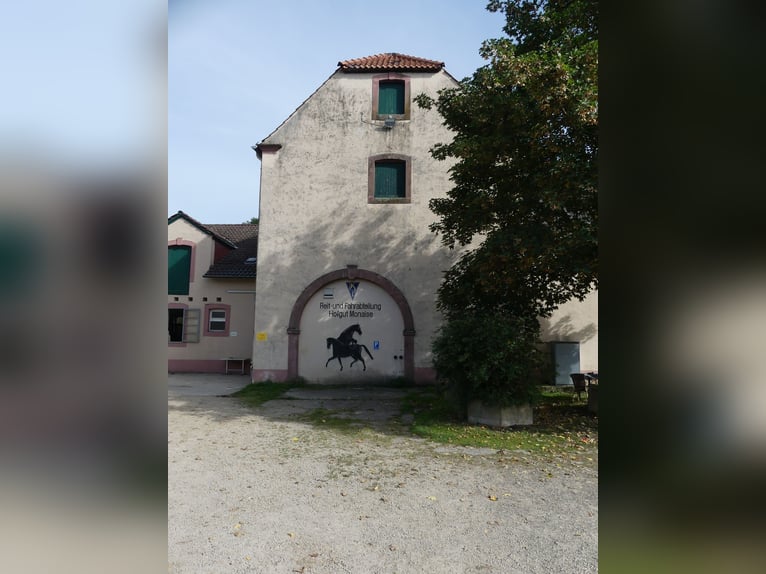 Vergabe der Reitsportanlage Monaise im Erbbaurecht