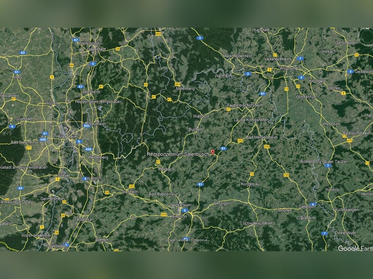 Vielseitig nutzbare Reitanlage in der Metropolregion Rhein-Neckar