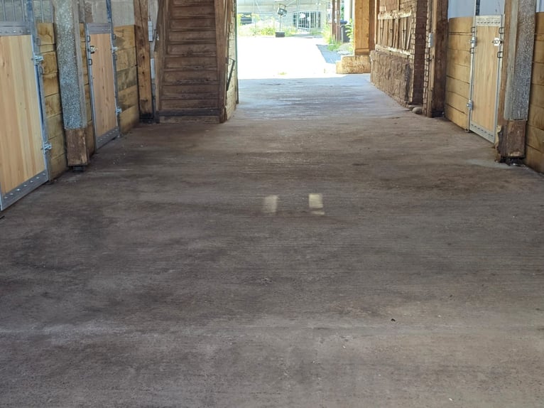 Vielseitiges Pferde- und Wohnensemble mit Ausbaupotenzial - Ideal für Tierklinik, Reitanlage uvm.