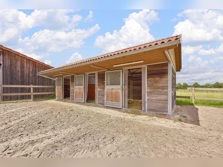 Villa de luxe avec centre équestre près de Fulda, Hesse – bien-être, équitation et art de vivre