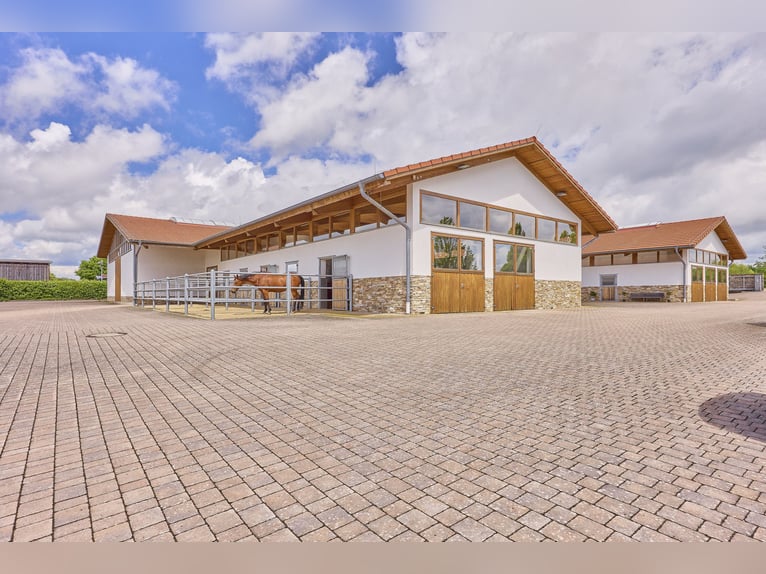 Villa de luxe avec centre équestre près de Fulda, Hesse – bien-être, équitation et art de vivre