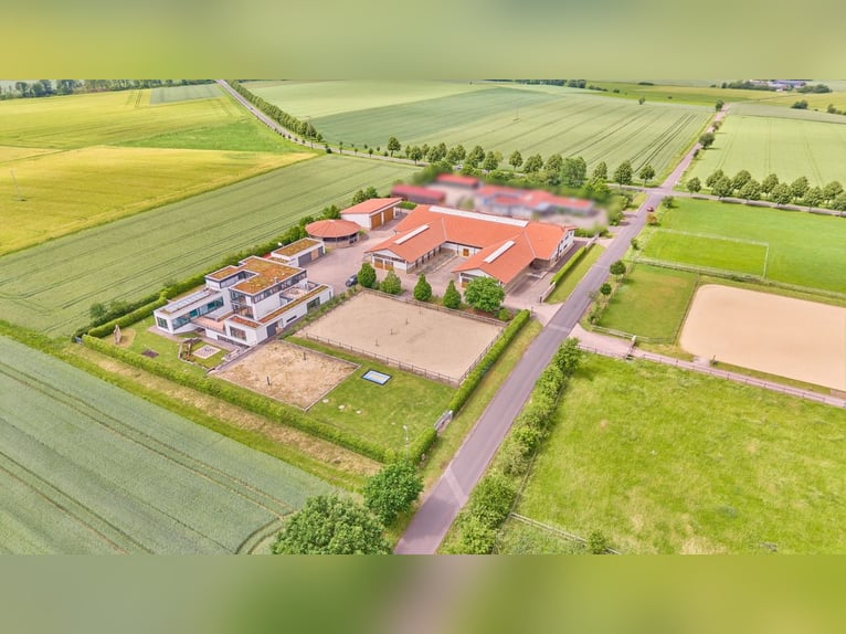 Villa de luxe avec centre équestre près de Fulda, Hesse – bien-être, équitation et art de vivre