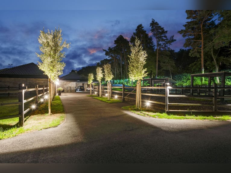 Villa exclusive avec maison d'hôtes et installations équestres à proximité du parc national de De Me