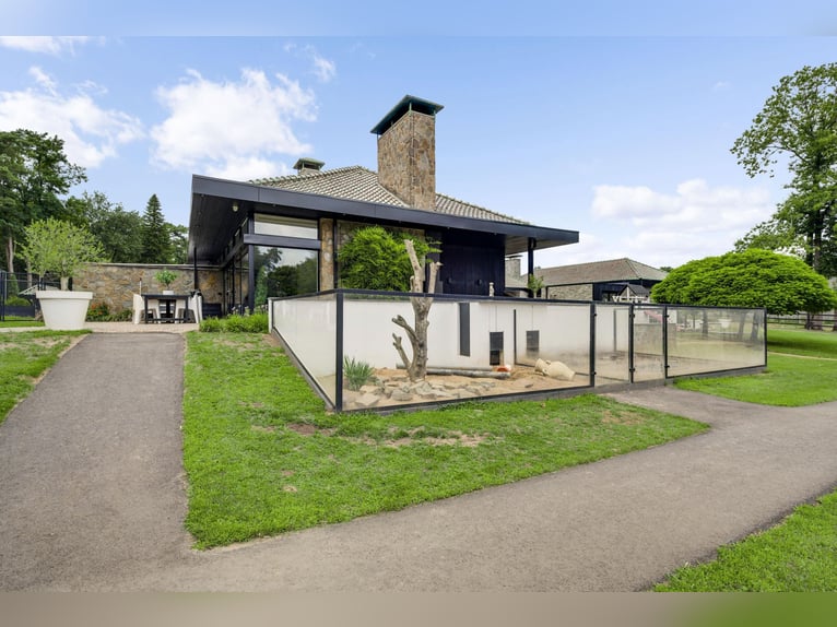 Villa exclusive avec maison d'hôtes et installations équestres à proximité du parc national de De Me