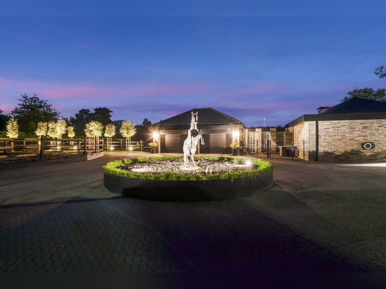 Villa exclusive avec maison d'hôtes et installations équestres à proximité du parc national de De Me