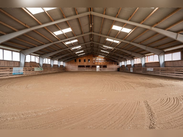 Welcome to this unique and thoughtfully designed equestrian property in Sweden 7,2 ha