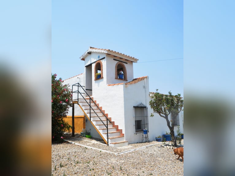 Wunderschöne Finca, ideal  für Pferdehaltung, in Arcos de la Frontera