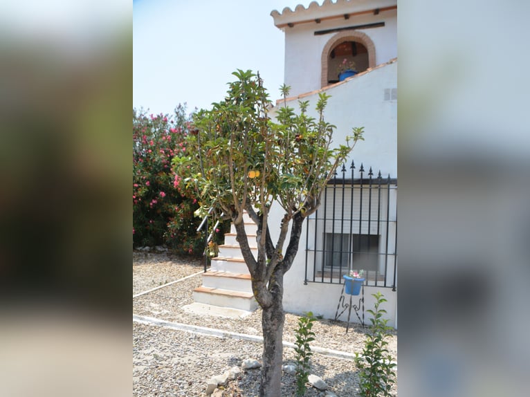 Wunderschöne Finca, ideal  für Pferdehaltung, in Arcos de la Frontera