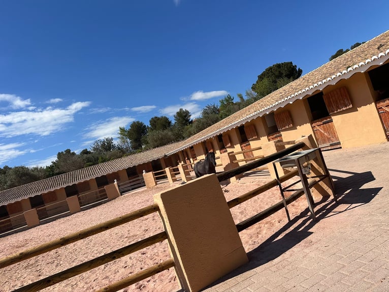 WUNDERSCHÖNE, HOCHWERTIGE REITANLAGE MIT EXCLUSIVER VILLA & VIEL LAND