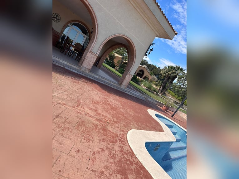 WUNDERSCHÖNE, HOCHWERTIGE REITANLAGE MIT EXCLUSIVER VILLA & VIEL LAND