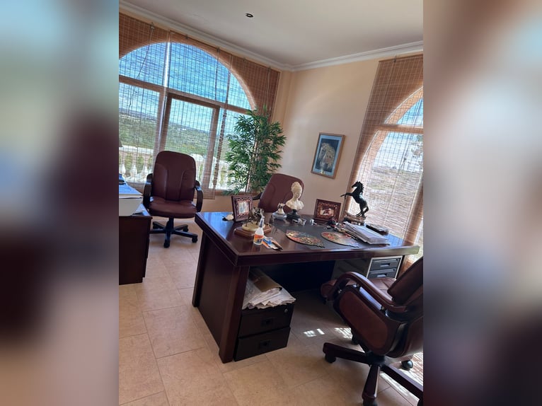 WUNDERSCHÖNE, HOCHWERTIGE REITANLAGE MIT EXCLUSIVER VILLA & VIEL LAND