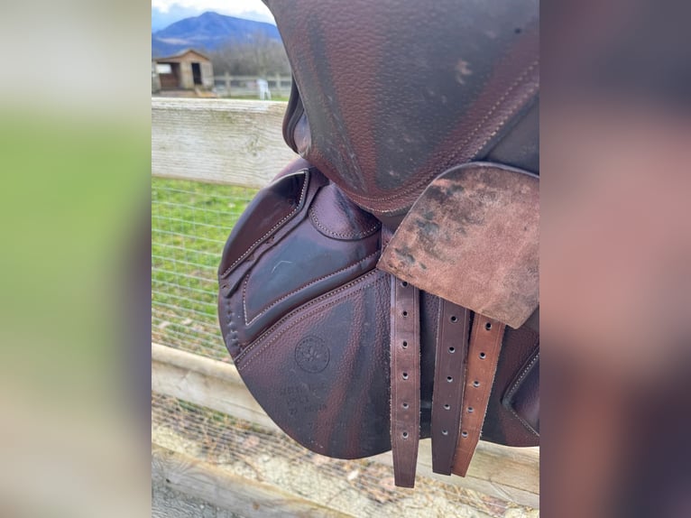 Selle CWD modèle SE01 taille 17’5 quartiers 03C