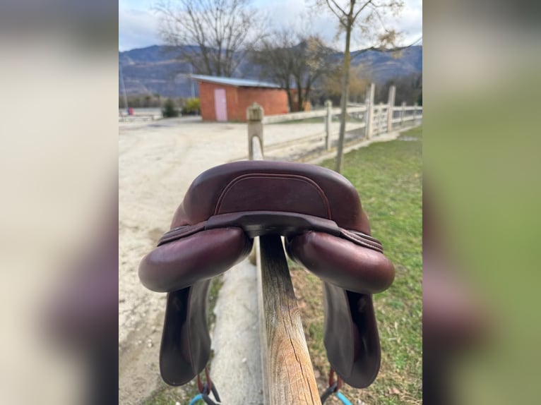 Selle CWD modèle SE01 taille 17’5 quartiers 03C