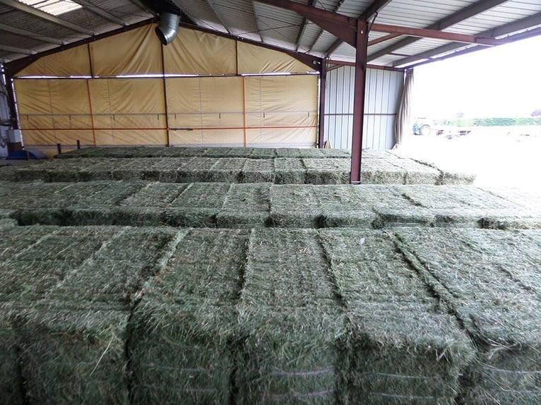 Foin de 1ère coupe – Récolte 2026 – 230 Tonnes disponibles