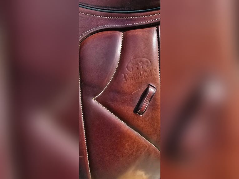 Selle a vendre 