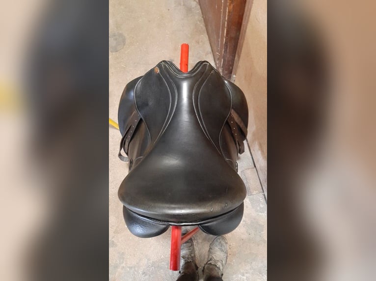 Selle de dressage