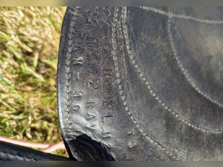 Selle de dressage Antares 18", excellent état