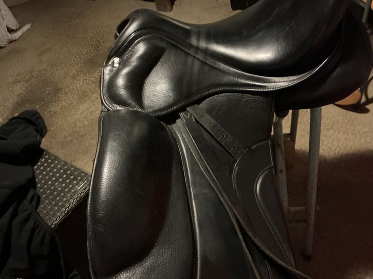 Selle dressage