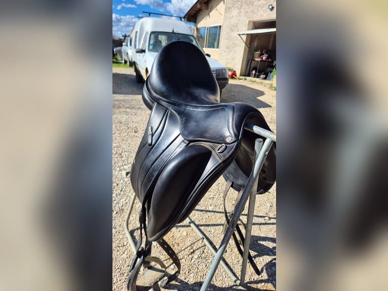 Selle dressage équipe