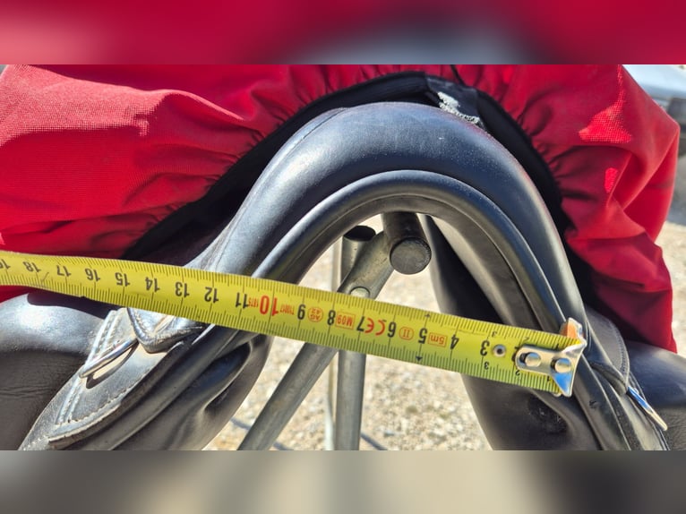 Selle dressage équipe