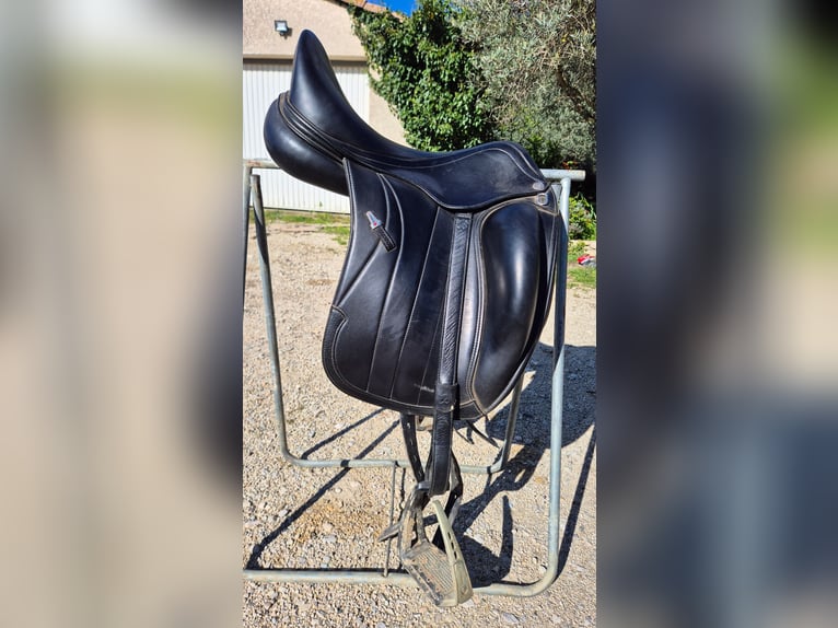 Selle dressage équipe