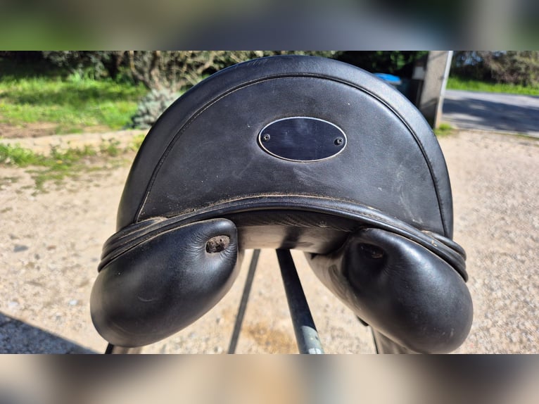 Selle dressage équipe