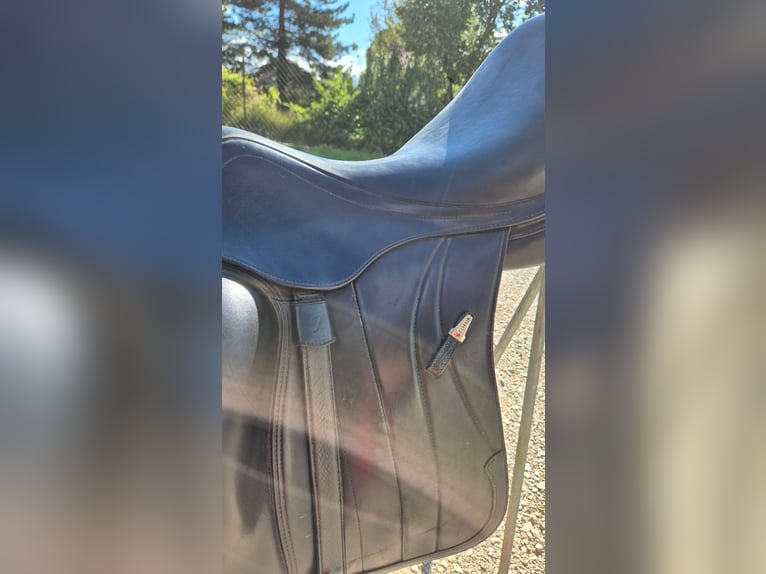 Selle dressage équipe