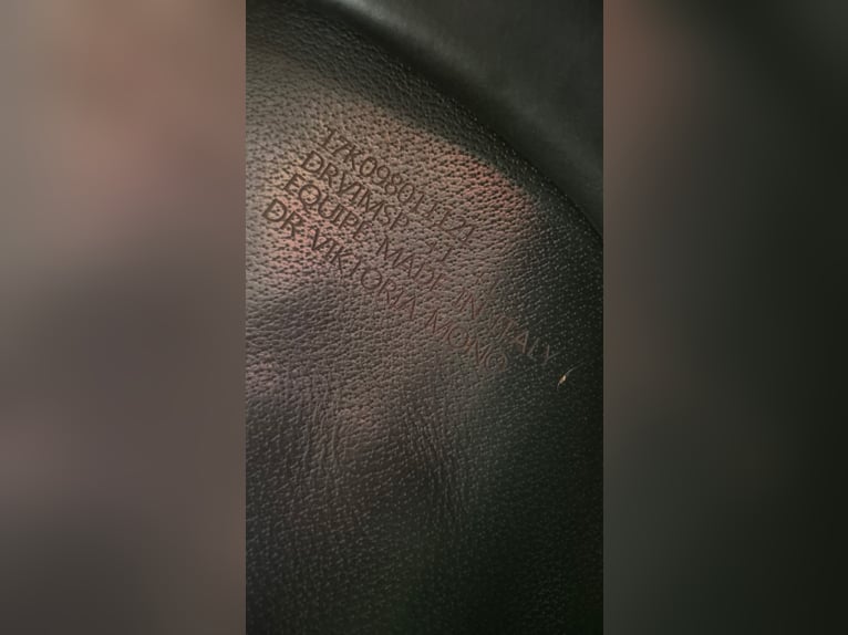 Selle dressage équipe