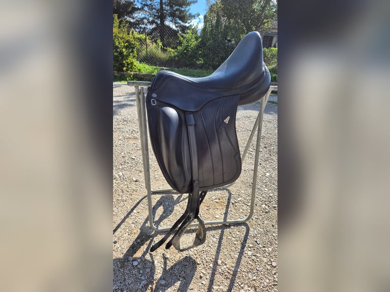 Selle dressage équipe