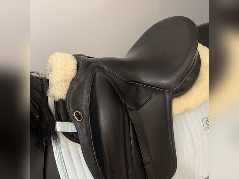 Selle Gaston Mercier dressage 