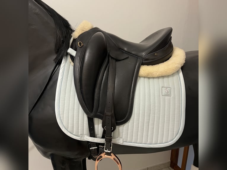 Selle Gaston Mercier dressage 