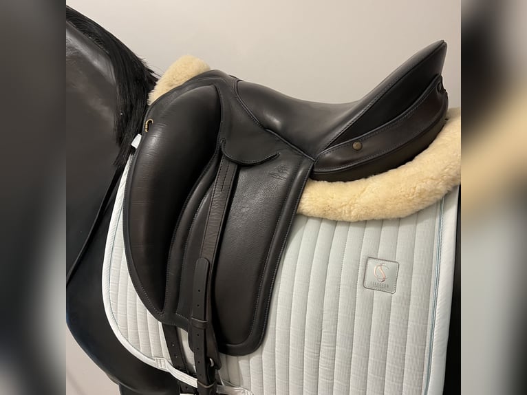 Selle Gaston Mercier dressage 