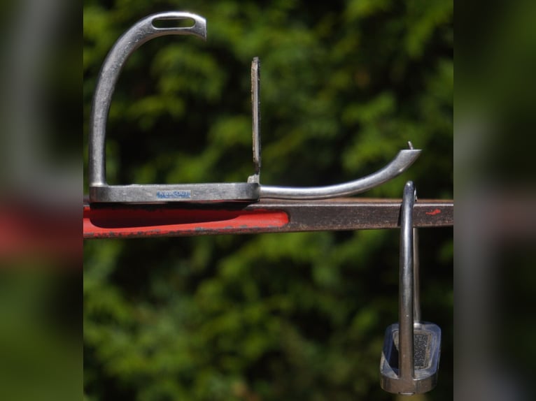 Selles Luc Childeric – Modèles DNL et DSG