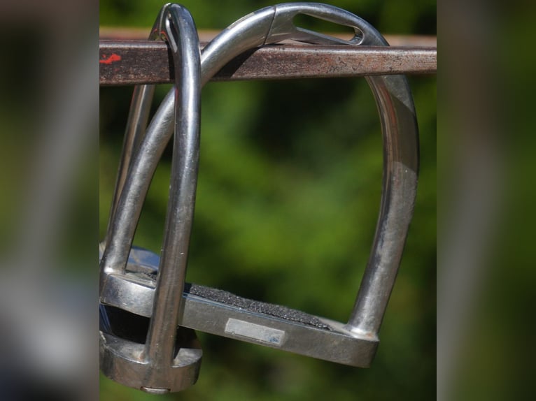 Selles Luc Childeric – Modèles DNL et DSG