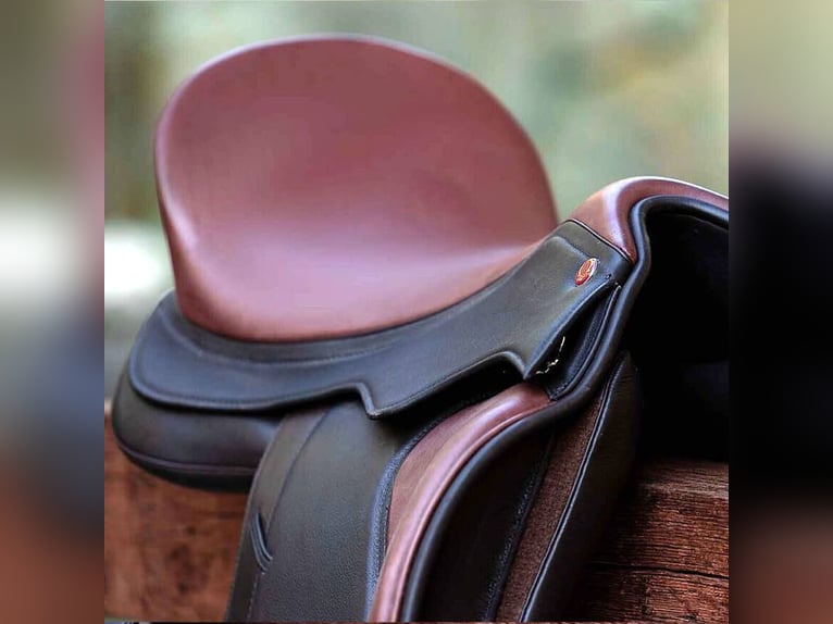 SILLA SIGNUM – OMEGA EL TORRO