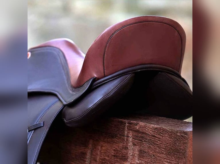 SILLA SIGNUM – OMEGA EL TORRO