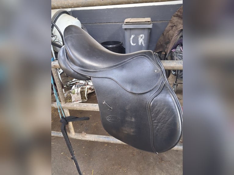 Selle chetak 16,5