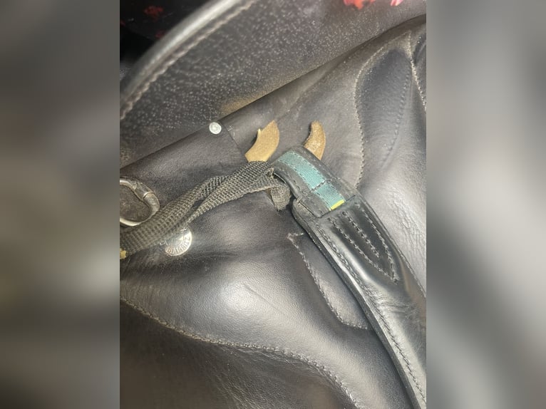 Selle CHIBERTA O devoucoux