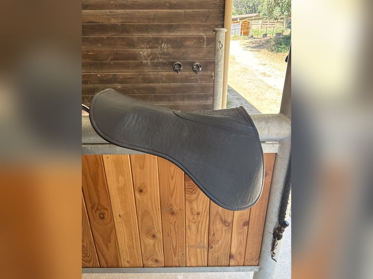 Selle CHILDÉRIC